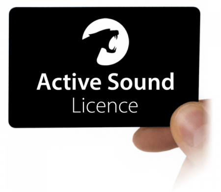 Evacuare electronica Maxhaust Active Sound Booster cu doua generatoare sunet– Set complet universal [6]