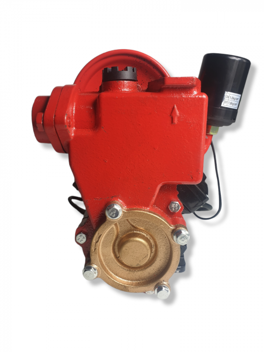 Mini hidrofor, ELEFANT PS170, 370W, 1.8bari, fonta, turbina bronz, silentios [3]