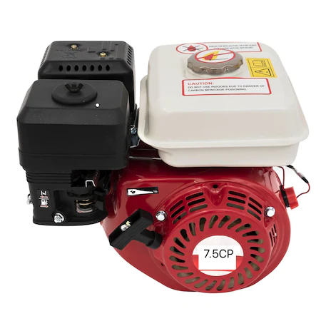 Motor pe benzina Campion CMP0238, 7.5CP, Ax 20mm, 4 timpi [0]