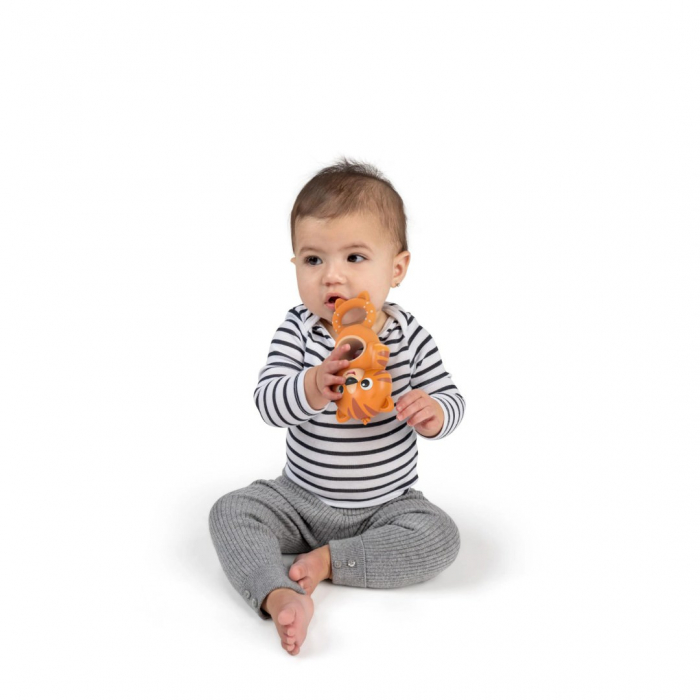 Baby Einstein - Jucarie de dentitie tigru, fara BPA [5]