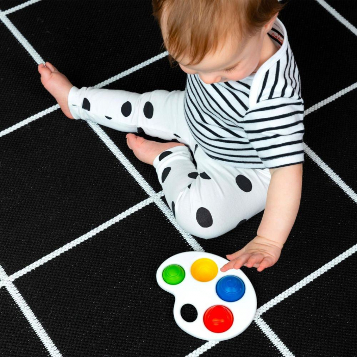 Baby Einstein - Jucarie senzoriala Color Pop Palette [13]