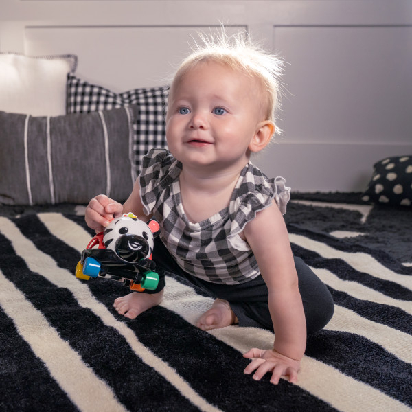 Baby Einstein - Masinuta zornaitoare "Curious Car Zen Oball" [11]