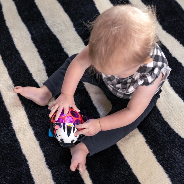 Baby Einstein - Masinuta zornaitoare "Curious Car Zen Oball" [8]