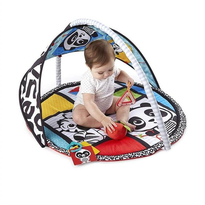 Baby Einstein - Salteluta de activitati Bold New World [3]