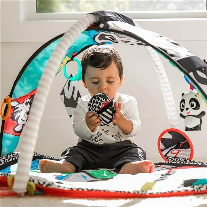 Baby Einstein - Salteluta de activitati Bold New World [6]