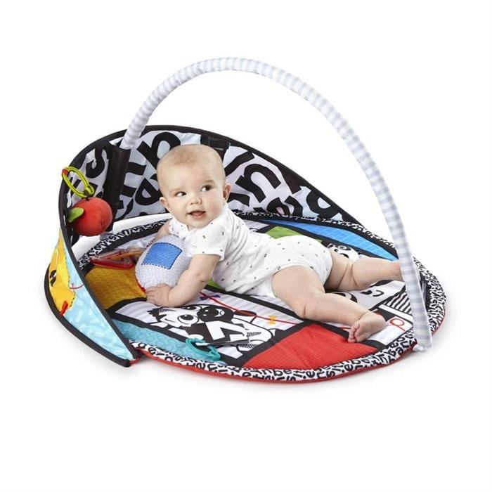 Baby Einstein - Salteluta de activitati Bold New World [2]