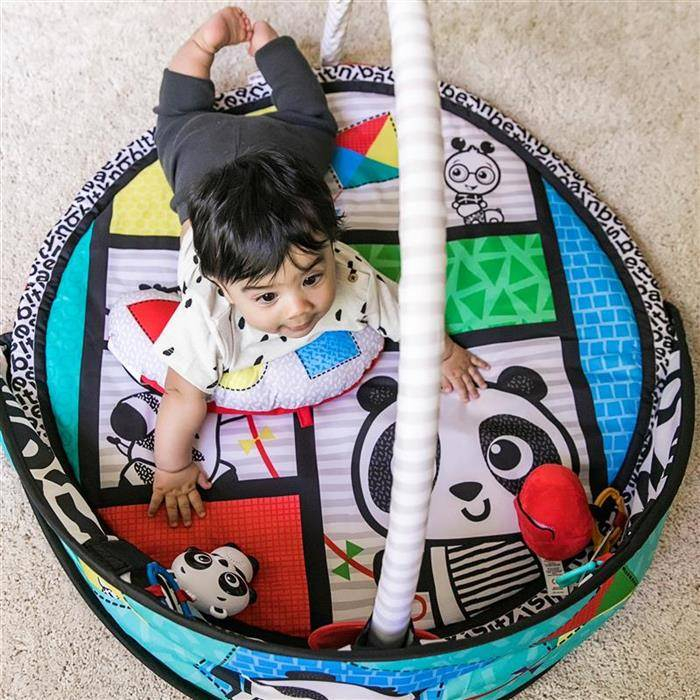 Baby Einstein - Salteluta de activitati Bold New World [7]