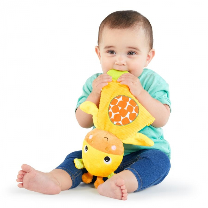 Bright Starts - Jucarie de dentitie din plus pentru bebelusi Girafa [2]