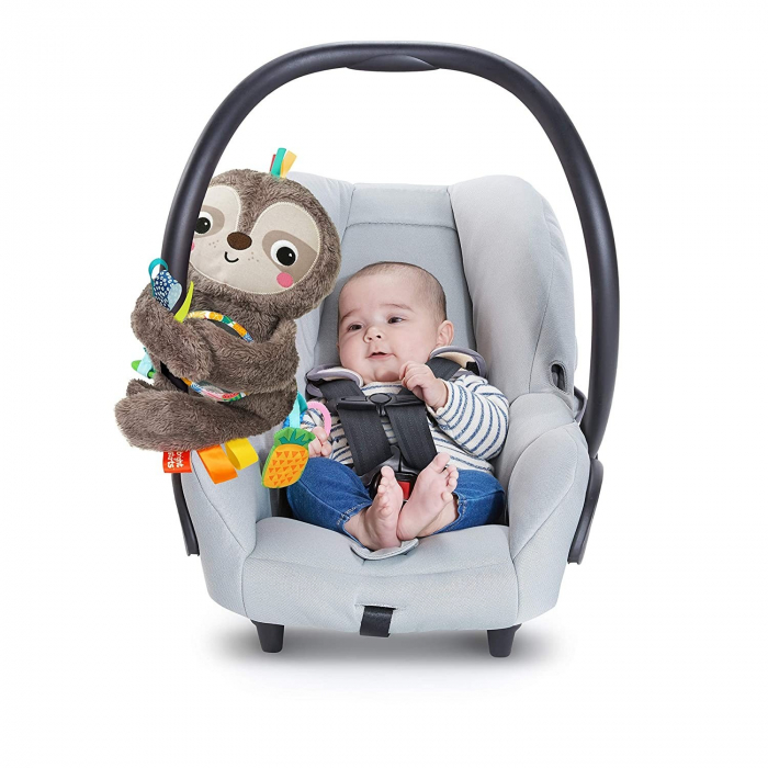 Bright Starts - Jucarie Lenesul zambaret [6]