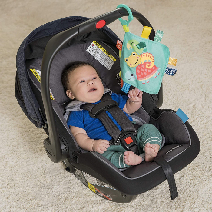 Bright Starts - Jucarie mini paturica cu animalute vesele [5]