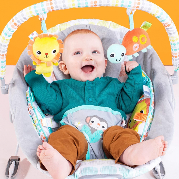 Bright Starts - Leagan si balansoar Whimsical Wild [9]