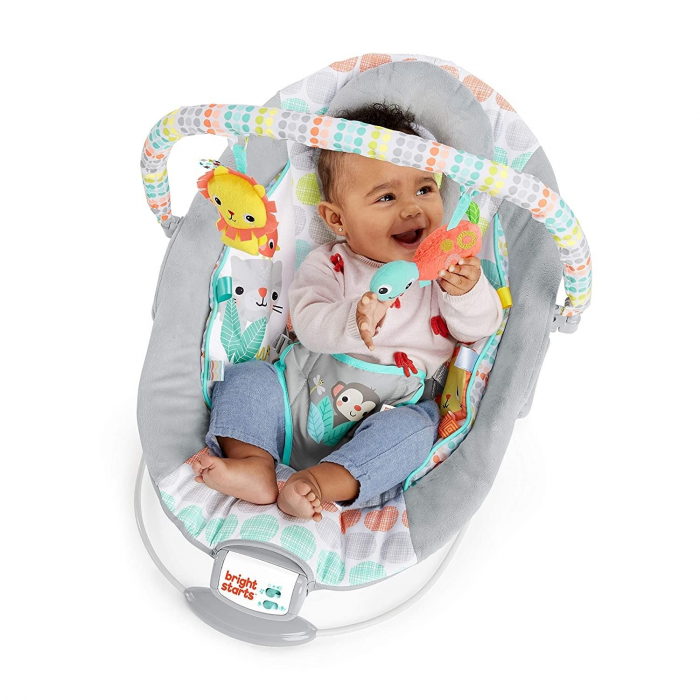 Bright Starts - Leagan si balansoar Whimsical Wild [5]