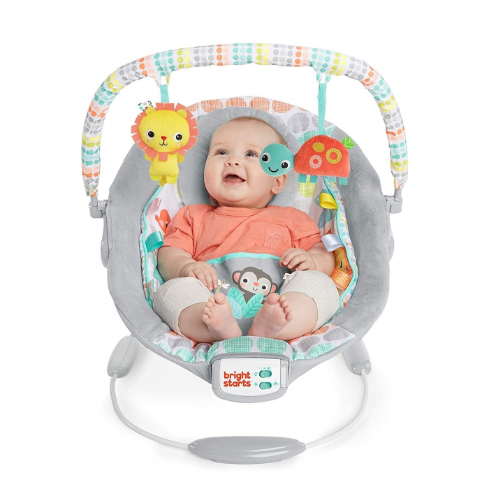 Bright Starts - Leagan si balansoar Whimsical Wild [3]