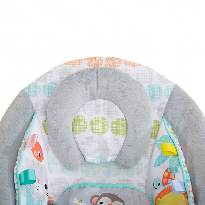 Bright Starts - Leagan si balansoar Whimsical Wild [15]