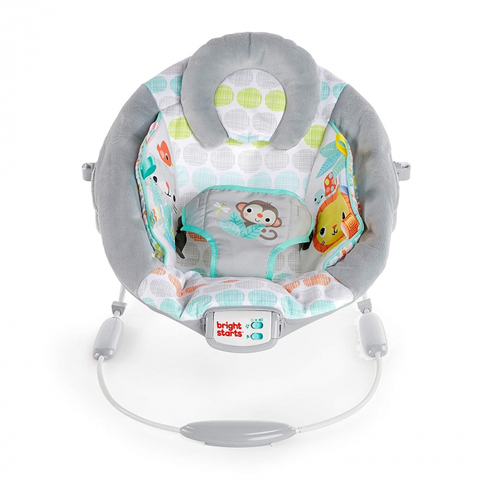 Bright Starts - Leagan si balansoar Whimsical Wild [2]
