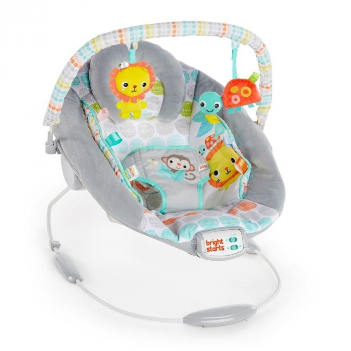 Bright Starts - Leagan si balansoar Whimsical Wild [16]