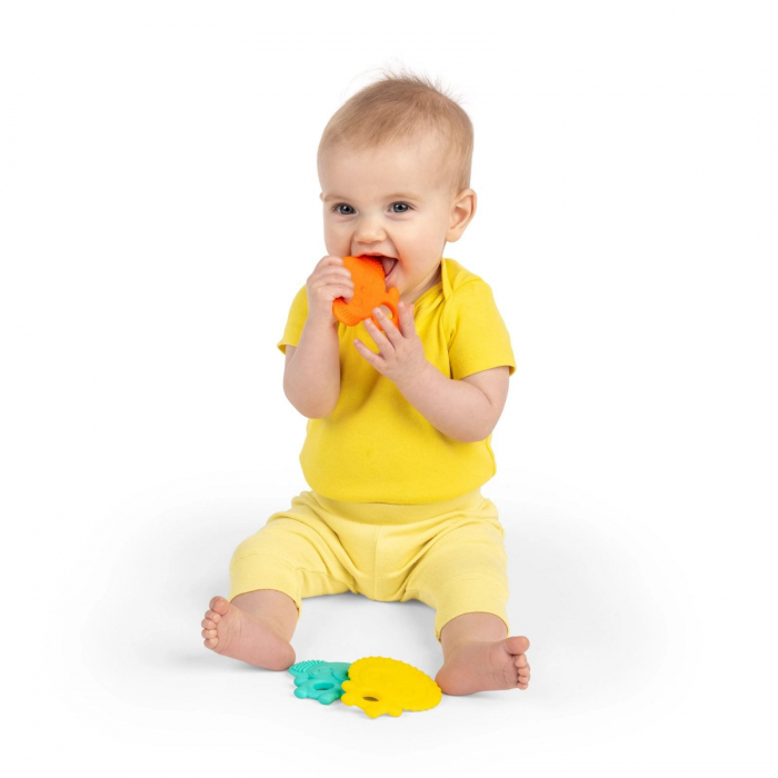 Bright Starts - Set 3 jucarii de dentitie texturate Gummy Buddies -  Elefant, Leu, Maimuta [5]