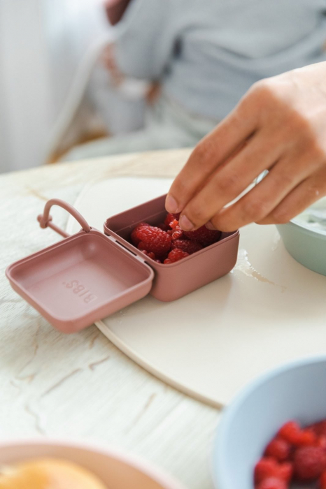 Cutie multifunctionala pentru depozitare suzete Bibs - Sage [7]