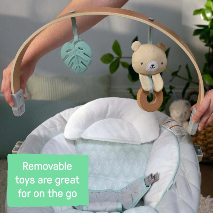 Ingenuity - Balansoar pentru Bebelusi Cozy Spot Soothing [5]