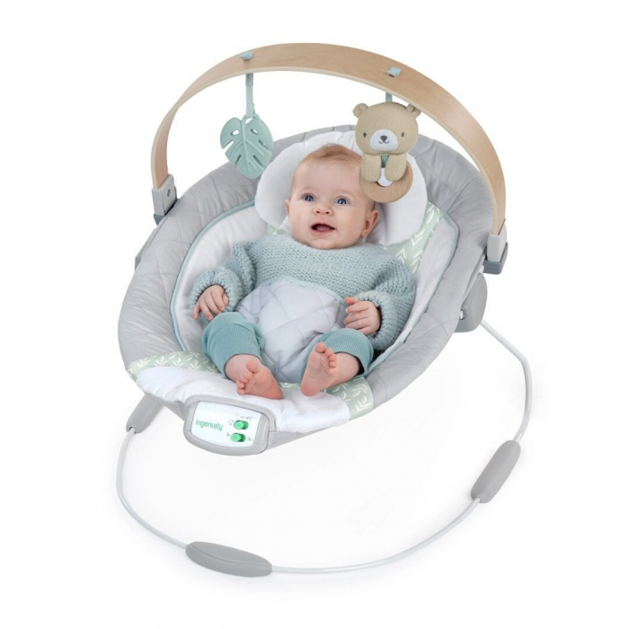 Ingenuity - Balansoar pentru Bebelusi Cozy Spot Soothing [7]