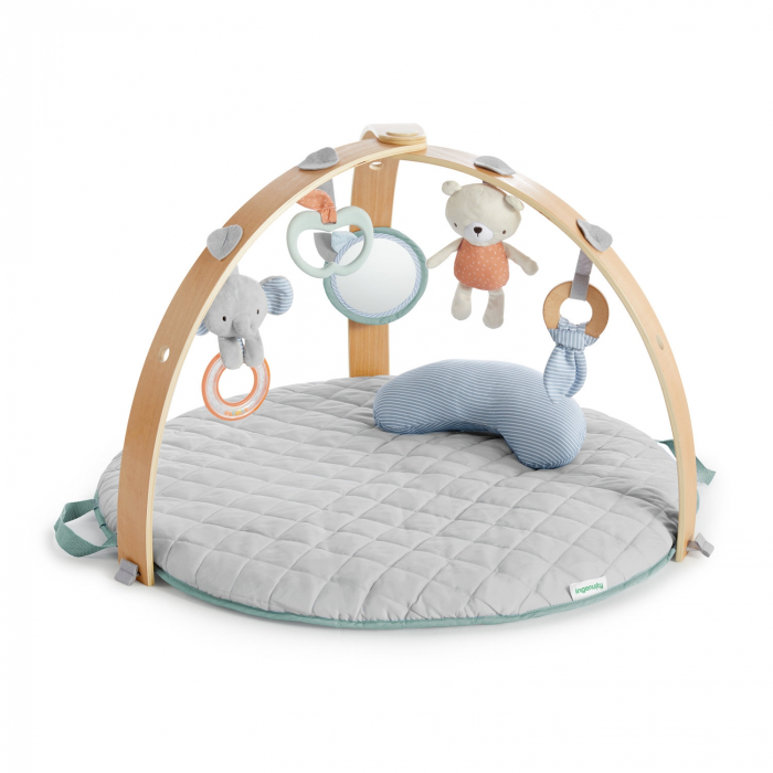 Ingenuity - Salteluta de activitati cu doua fete Cozy Spot [3]
