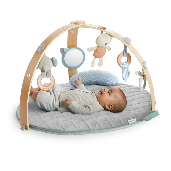 Ingenuity - Salteluta de activitati cu doua fete Cozy Spot [9]