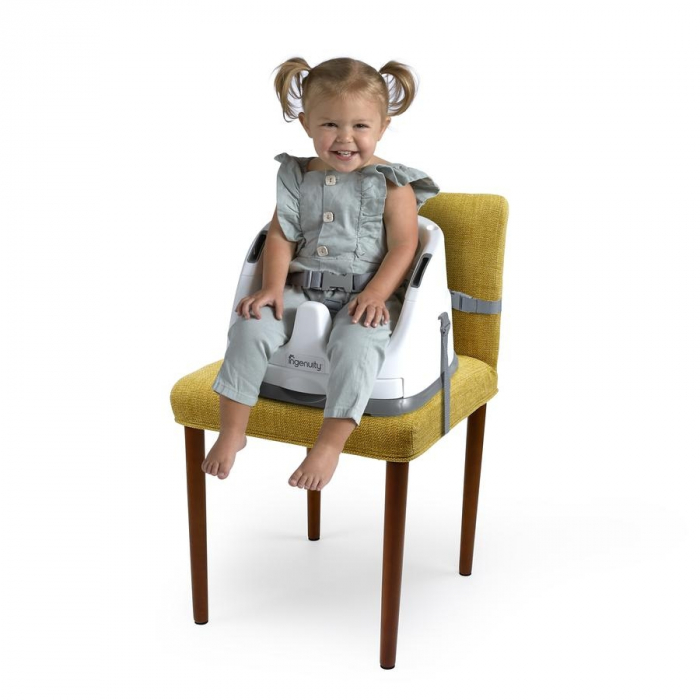 Ingenuity - Scaun masa 2 in 1 Cashmere [16]