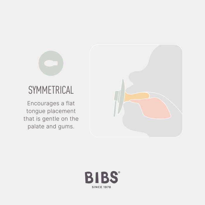 Pachet Special 3 Suzete Bibs Colour, tetina simetrica + 1 GRATIS, 0-6 luni [3]