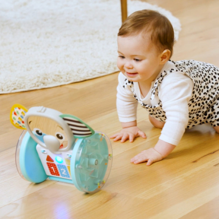 Baby Einstein - Jucarie interactiva, "Chase & Tap Earl" [3]