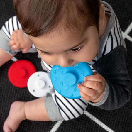 Baby Einstein - Jucarie zornaitoare si dentitie Zen, fara BPA [8]