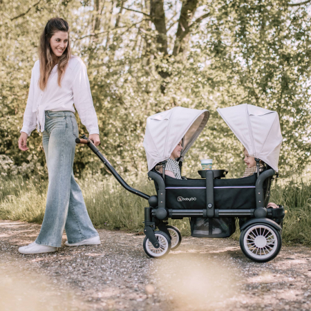 BabyGo - Carucior de transport tip vagon Cozy Rider [23]