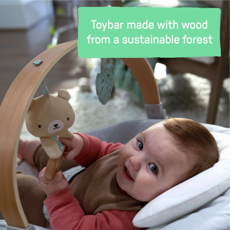 Ingenuity - Balansoar pentru Bebelusi Cozy Spot Soothing [5]