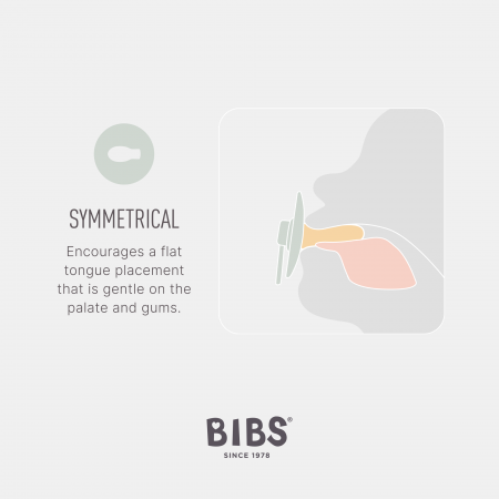Pachet Special 3 Suzete Bibs Colour, tetina simetrica + 1 GRATIS, 0-6 luni [2]