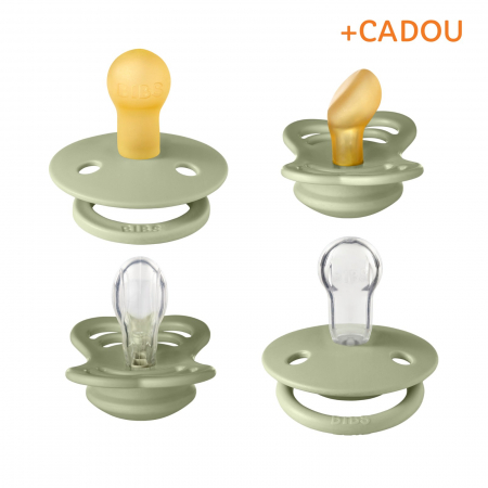 Suzete si accesorii - Set 4 suzete Bibs Try-It collection Size 1 - Sage (2 latex + 2 silicon)