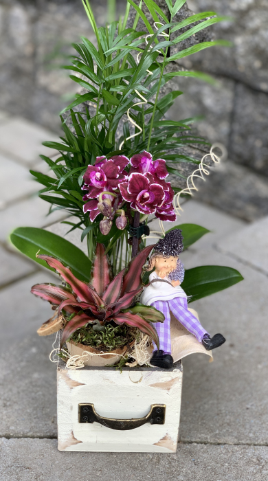 "Lilike" [1]