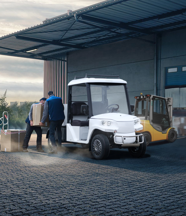 Mașină electrică Melex N. CAR 395 H [3]