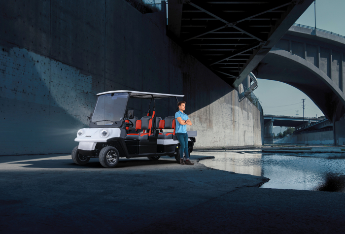 Mașină electrică Melex N. CLASSIC 463 H [5]
