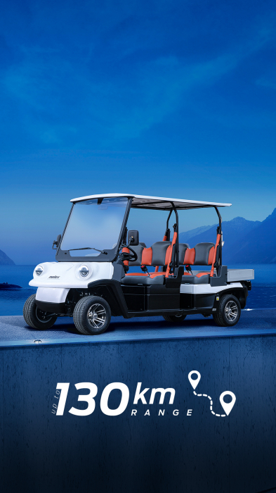 Mașină electrică Melex N. CLASSIC 463 H [3]