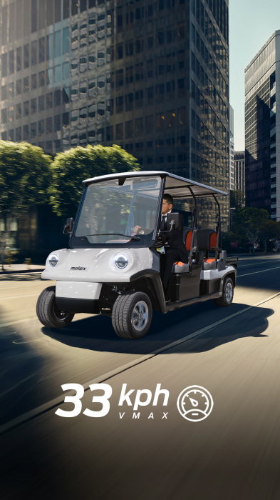 Mașină electrică Melex N. CLASSIC 463 H [2]