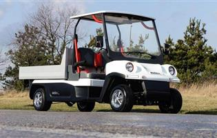 Mașină electrică Melex N. CLASSIC 465 [1]