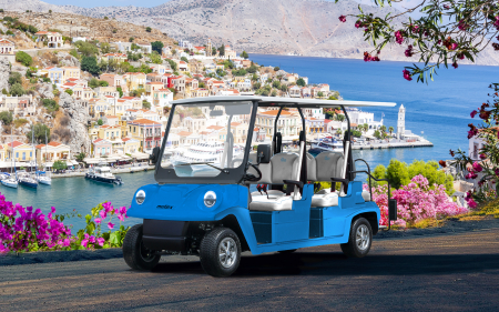Mașină electrică Melex N. CLASSIC 466 [3]