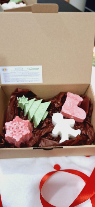 Cutie Cadou pentru Craciun - "Frosted Christmas Surprise" [3]