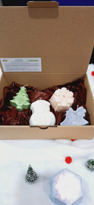 Cutie Cadou pentru Craciun - "Frosted Christmas Surprise" [4]