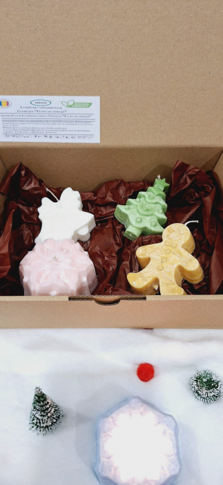 Cutie Cadou pentru Craciun - "Frosted Christmas Surprise" [2]