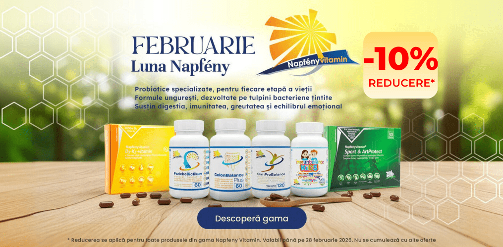 Carousel - Napfeny 04.02 - 28.02