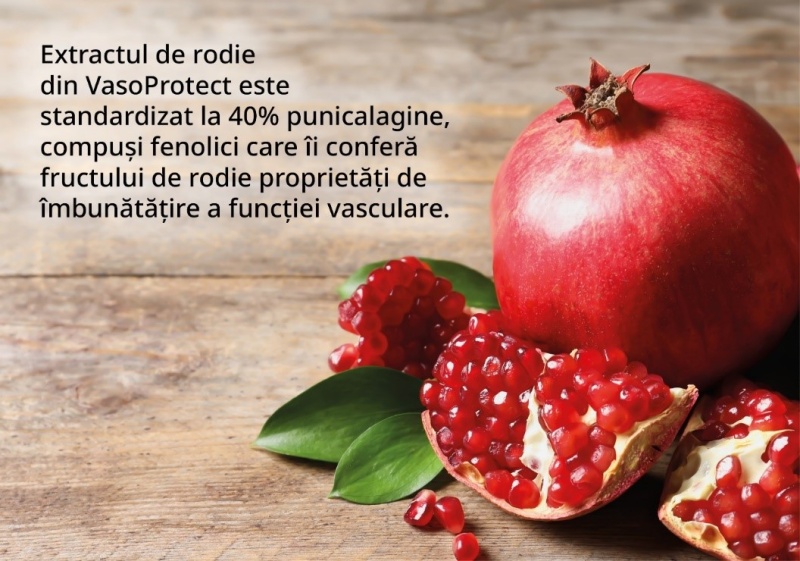 extract rodie vasoprotect