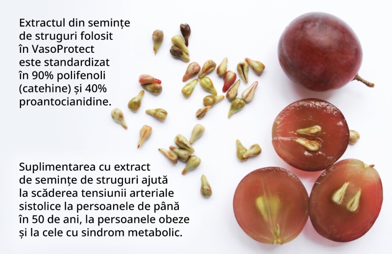 extract seminte strucguri vasoprotect