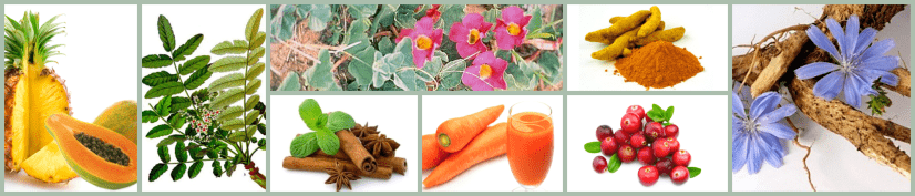 ingrediente ah forte