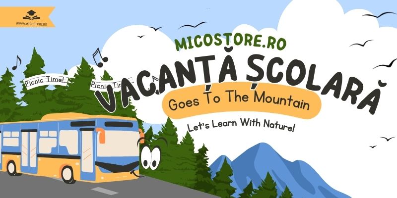 Vacanțele școlare pentru anul 2024-2025 în România: Tot ce trebuie să știi despre program și săptămânile speciale