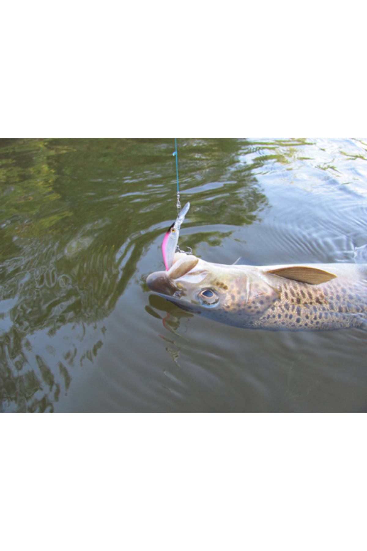 Vobler Smith D Direct 55mm 6g 40 S D Direct 55mm 6g 40 [1]